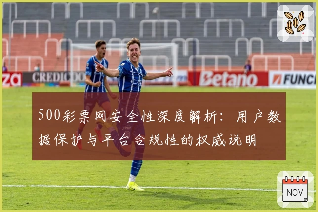 500彩票网安全性深度解析：用户数据保护与平台合规性的权威说明