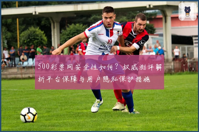 500彩票网安全性如何？权威测评解析平台保障与用户隐私保护措施